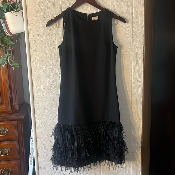 Daniel Cremieux Dresses & Skirts - Feather Accent Dress